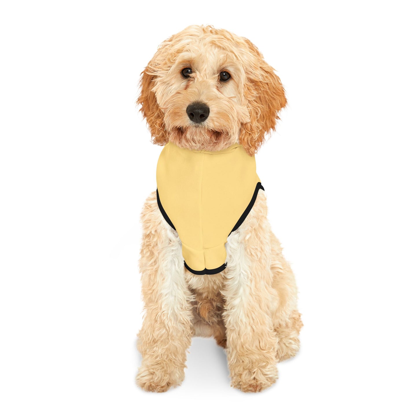Pet Hoodie — Yellow "happy stroll." Dog Hoodie for Small Dogs, Cute Walk-Ready Pet Sweatshirt