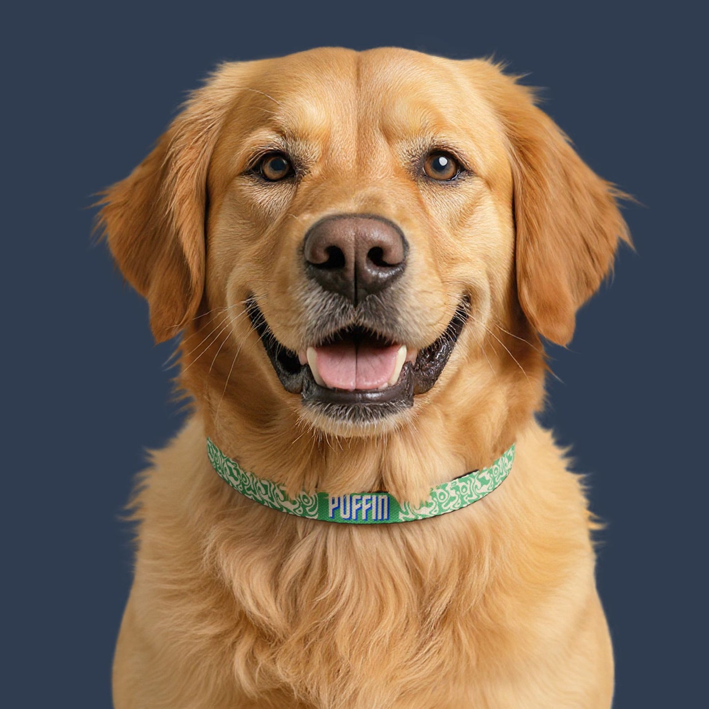 Willow Wave Collar