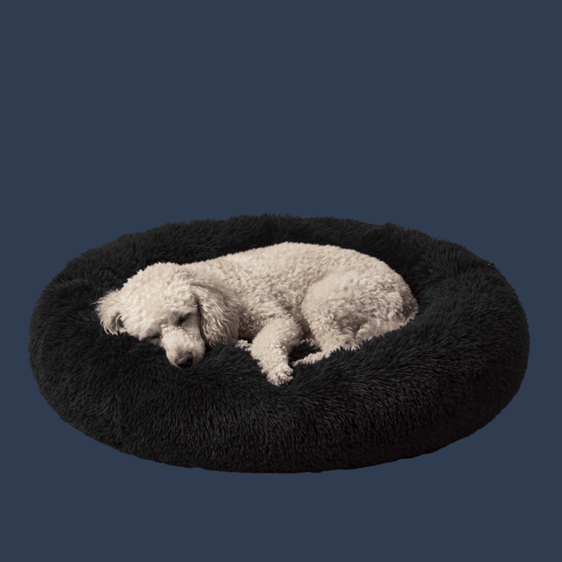 Donut Bed