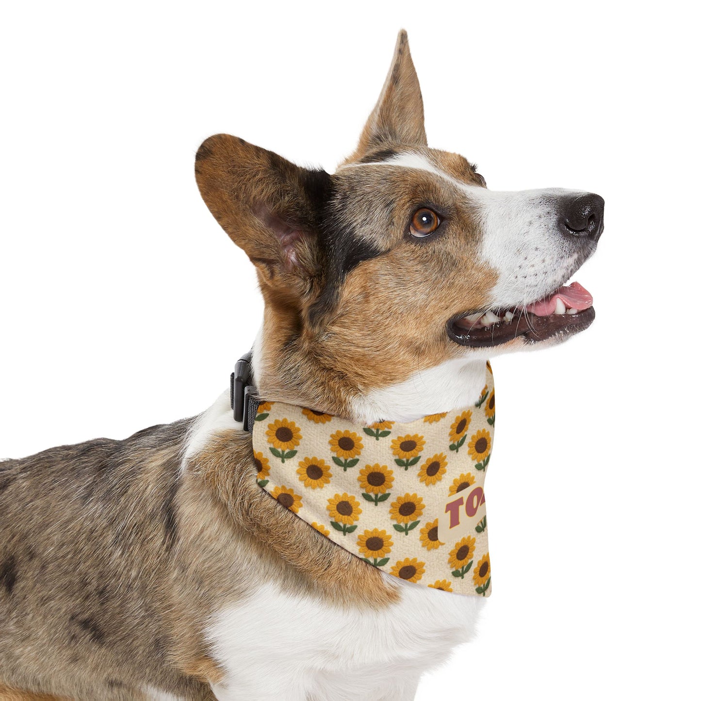 Harvest Sun Bandana