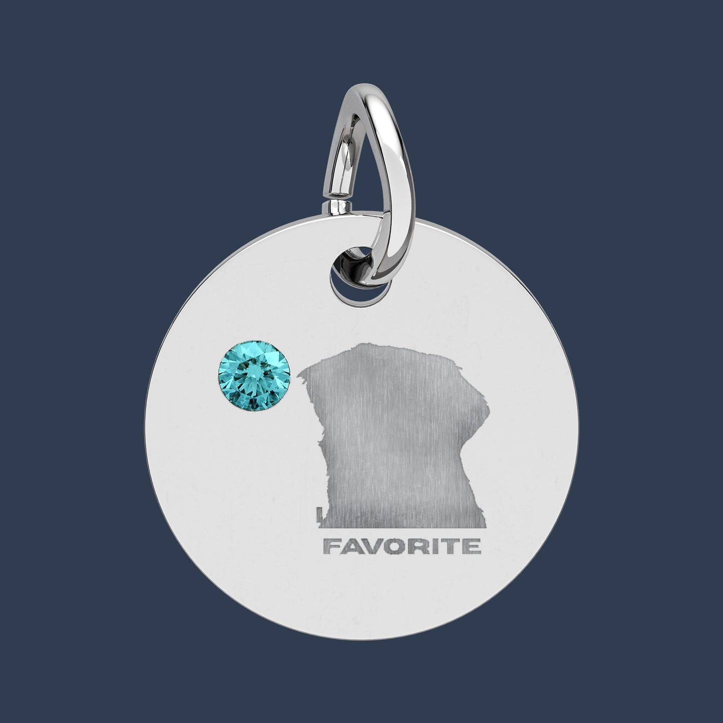 Circle Charm