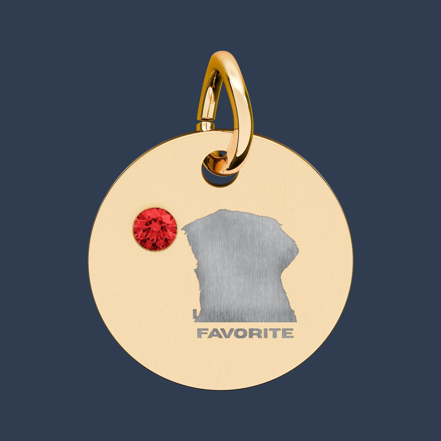 Circle Charm