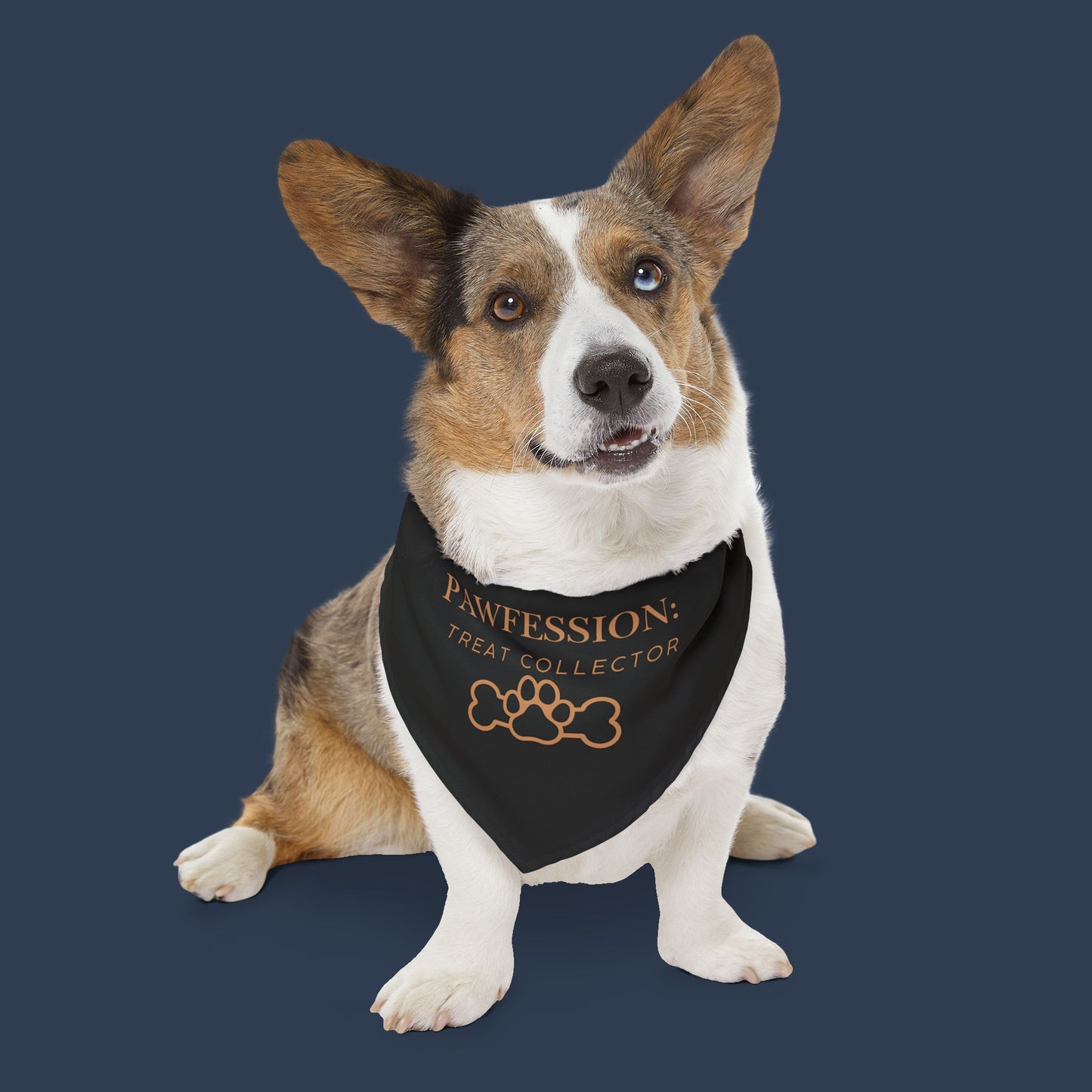 Treat Collector