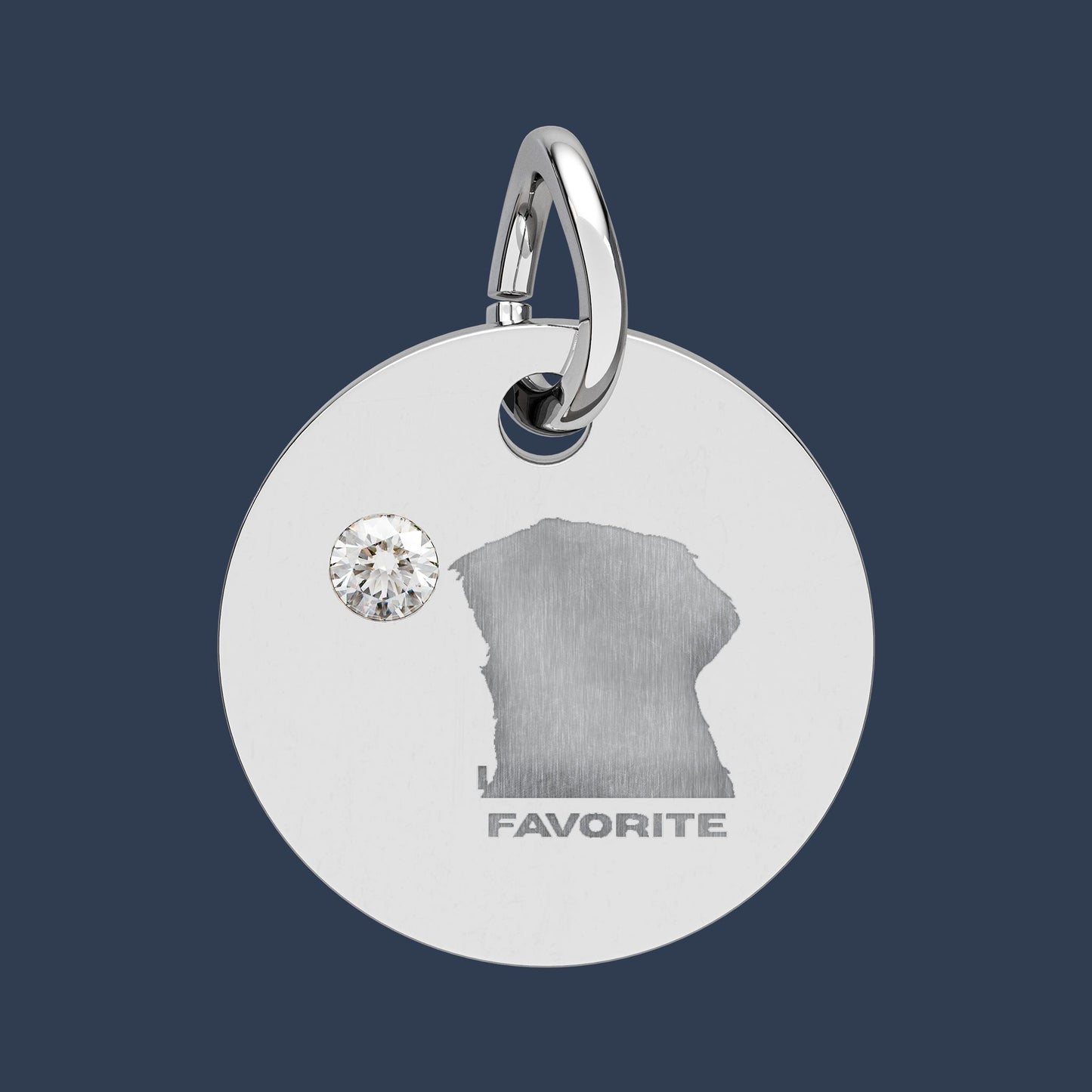 Circle Charm