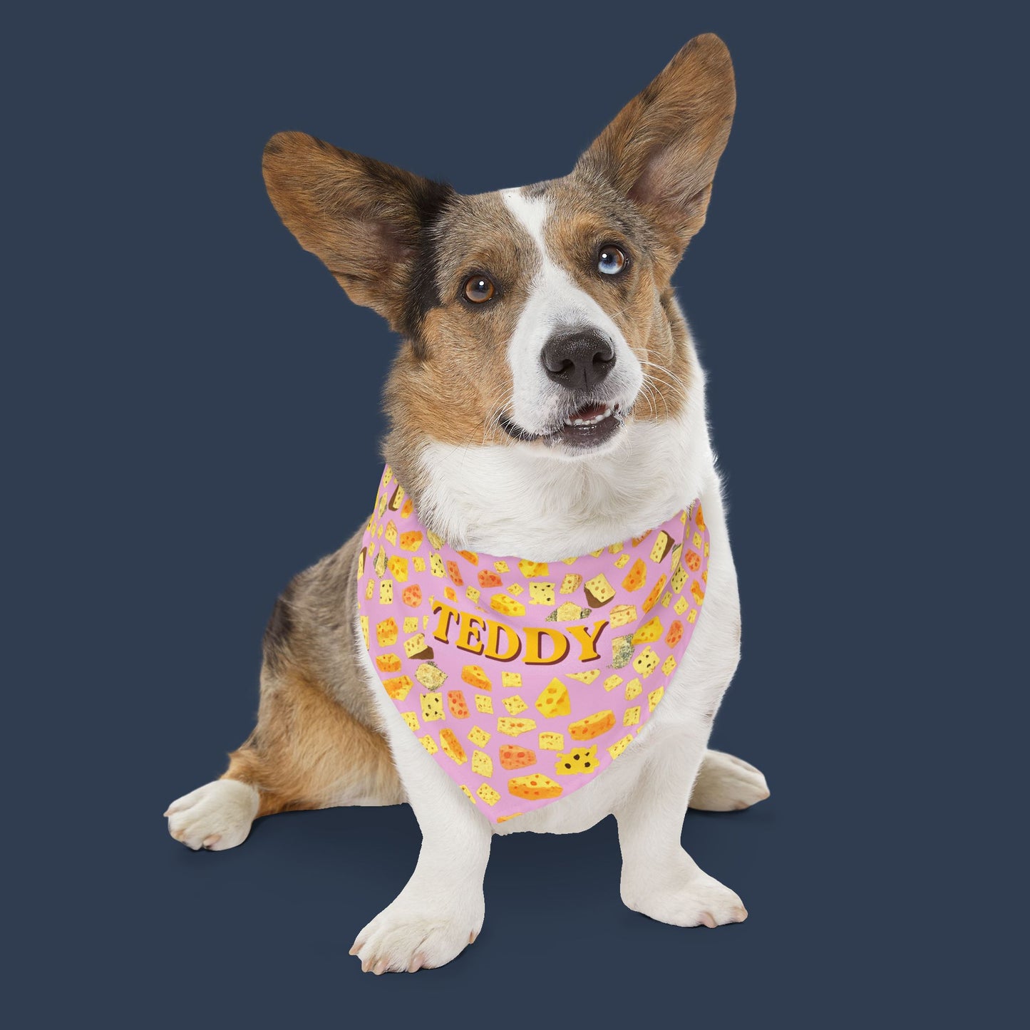 Gouda Boy
