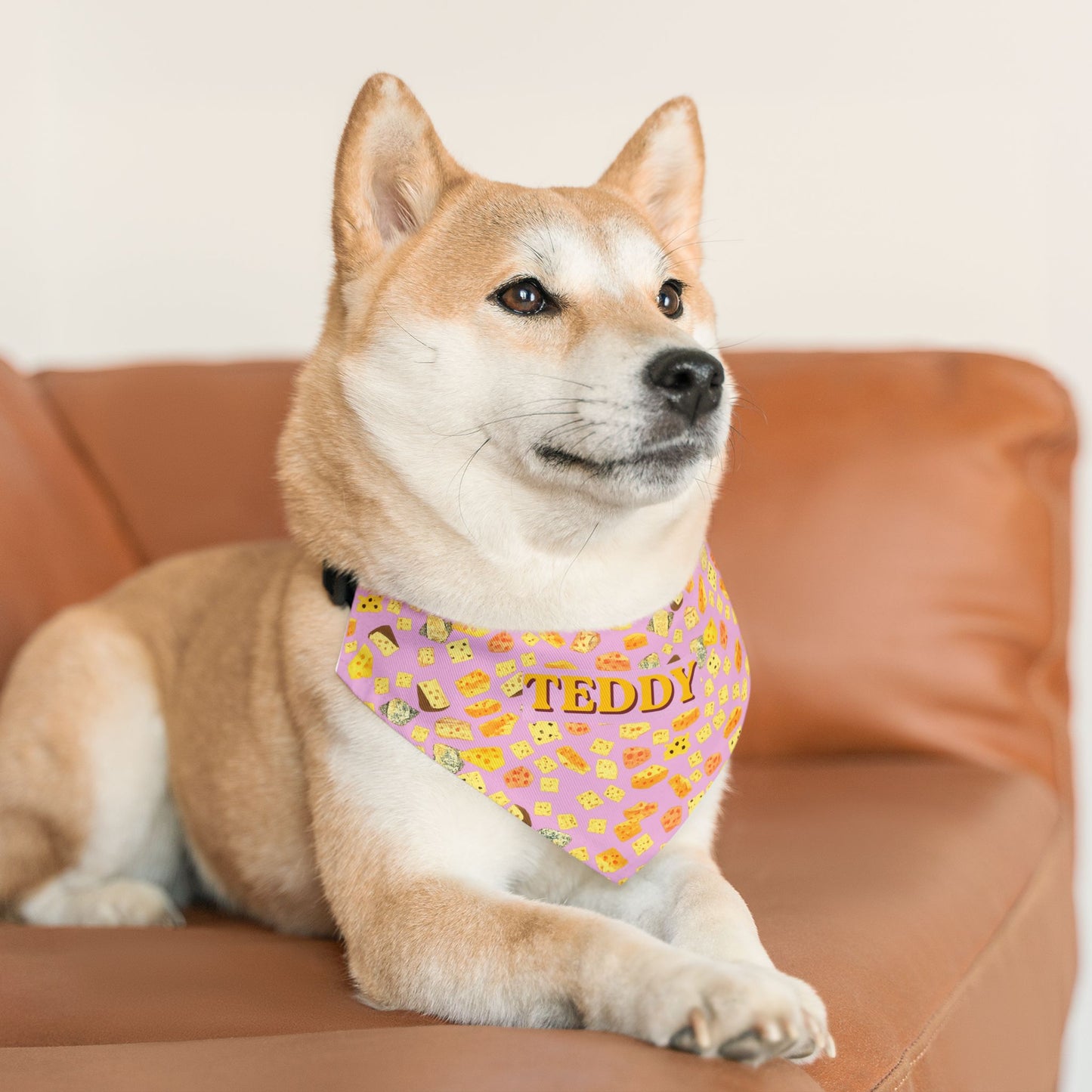 Gouda Boy