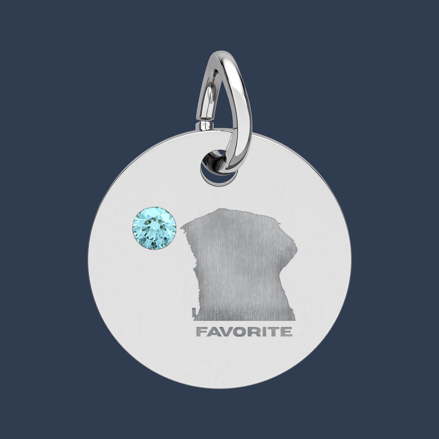 Circle Charm