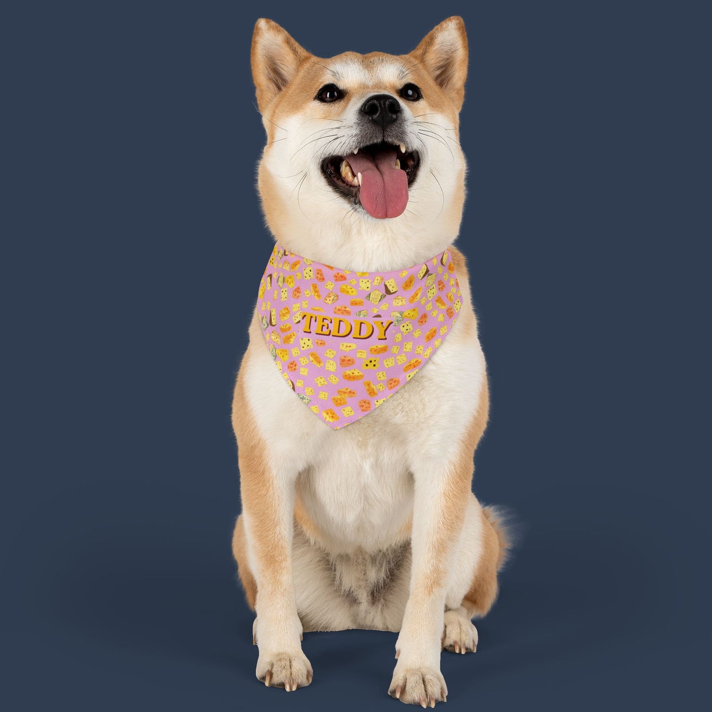 Gouda Boy