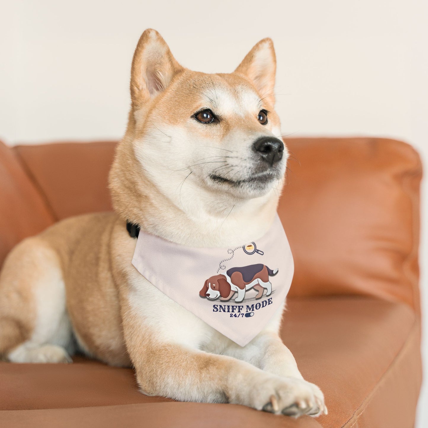 Sniff Mode
