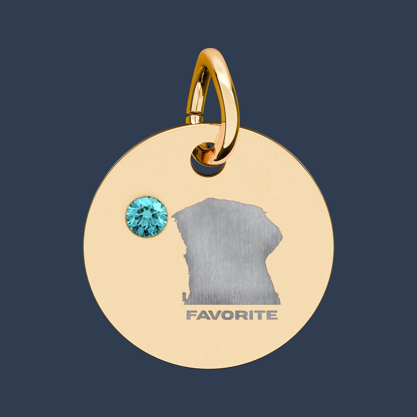 Circle Charm
