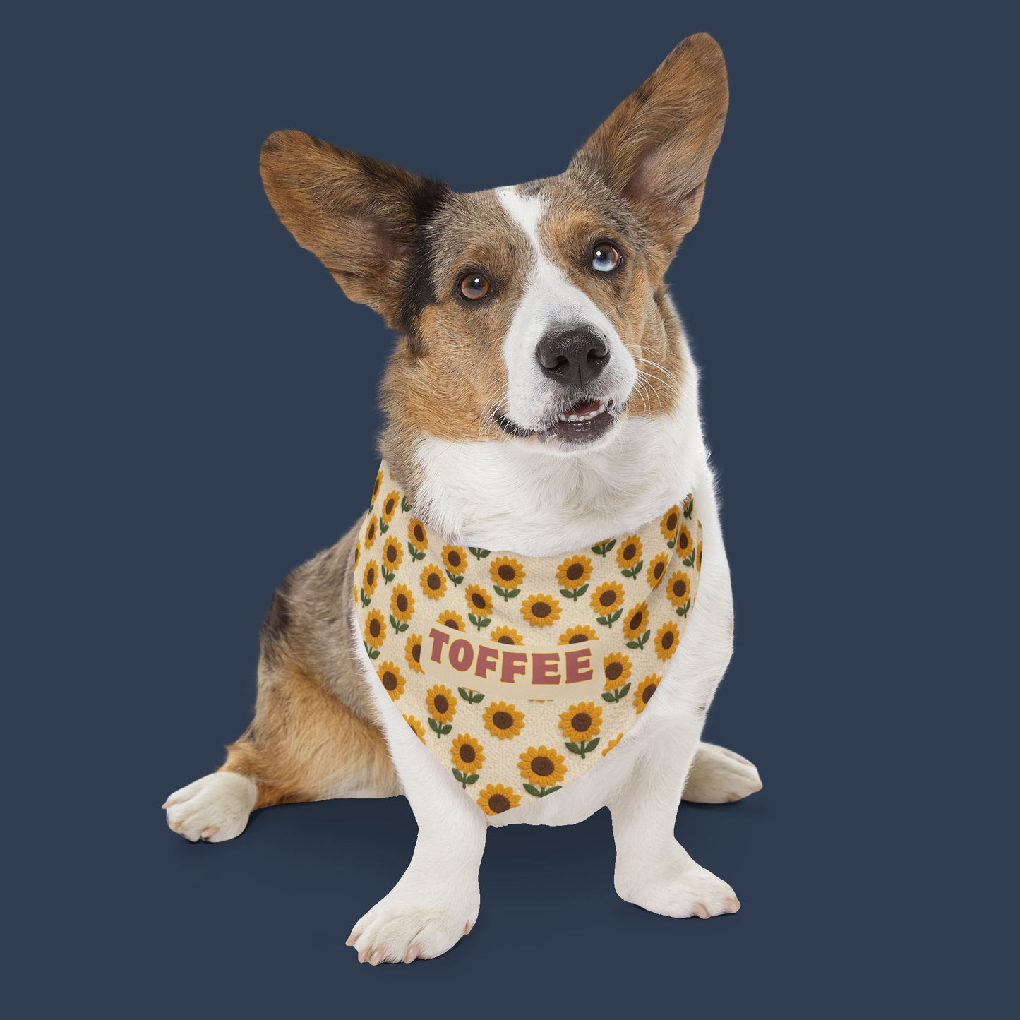Harvest Sun Bandana