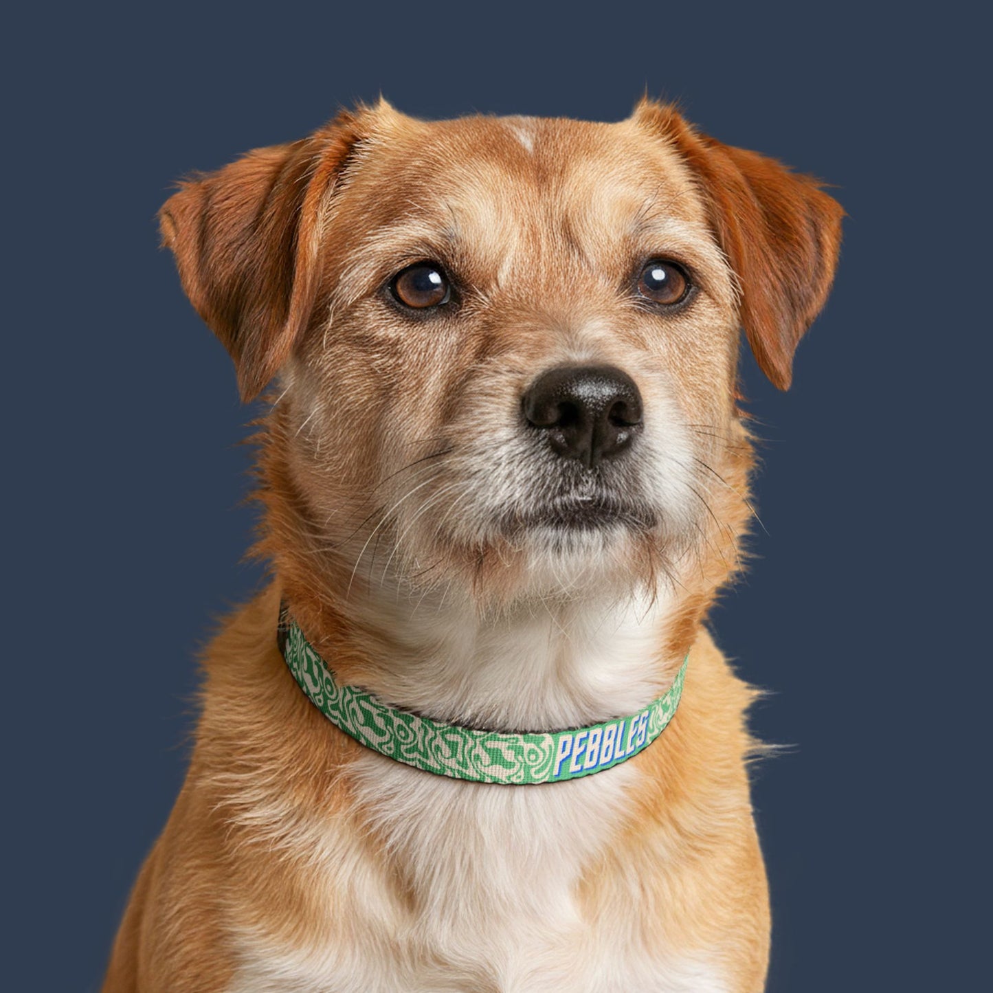 Willow Wave Collar