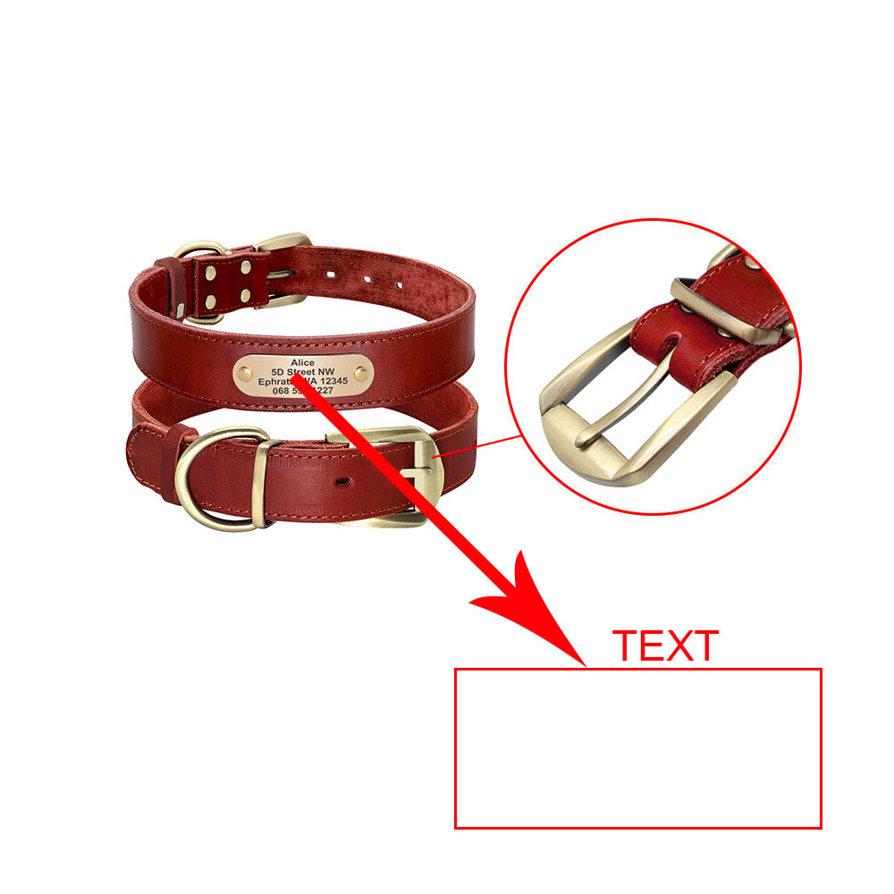 Personalized Dog Collars with Nameplate ID Tags