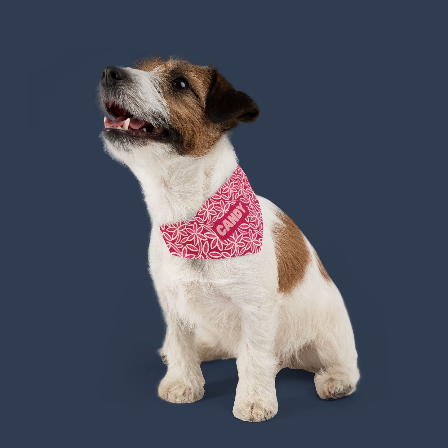 Blush Petal Bandana