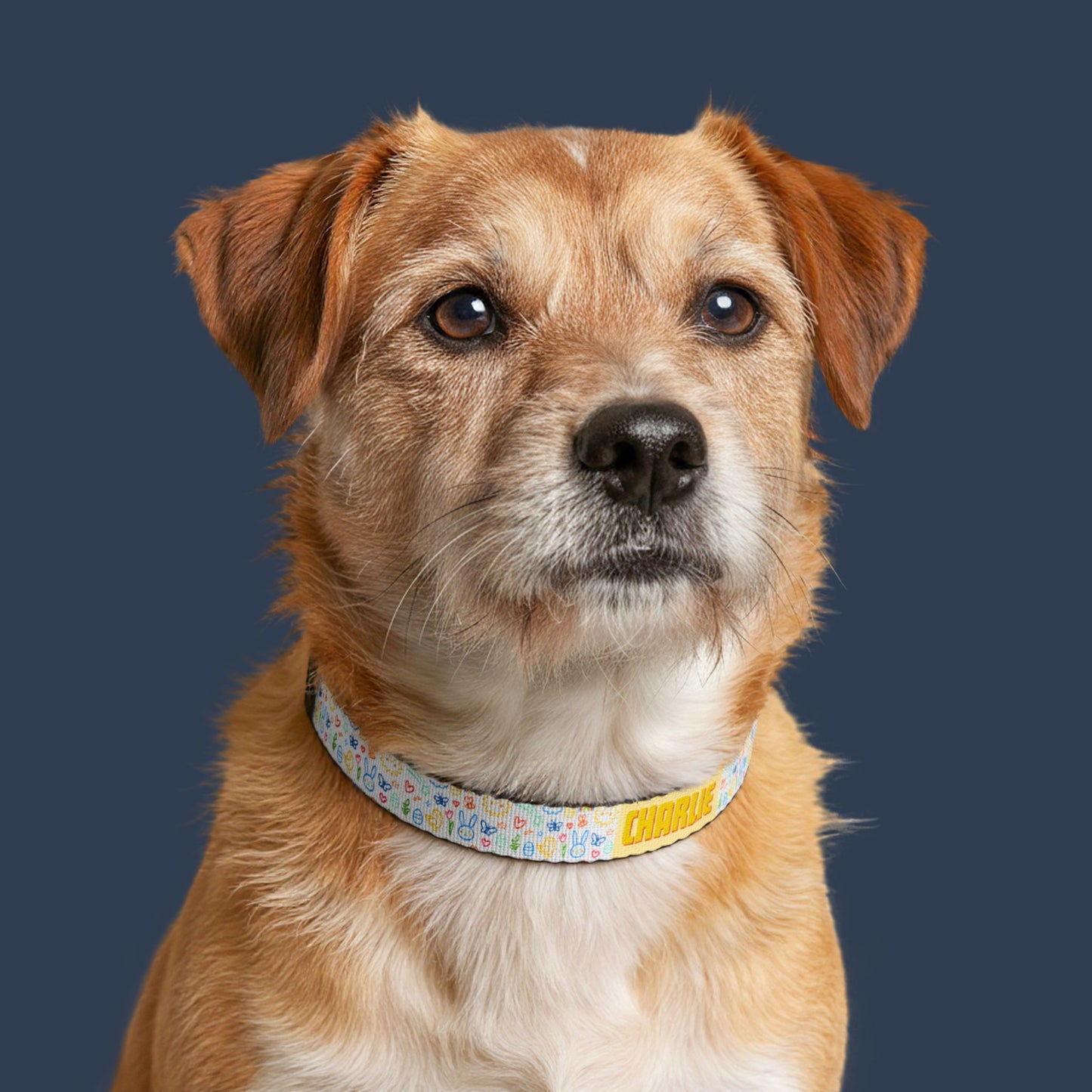Whimsy Garden Clip-On Collar