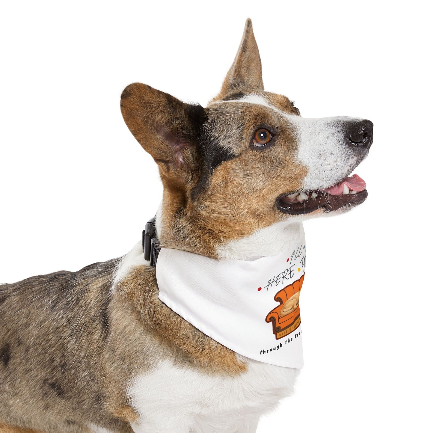 Pet Bandana Collar — 'I'll Be Here For You' Couch Friends Dog Bandana (TV Tribute)