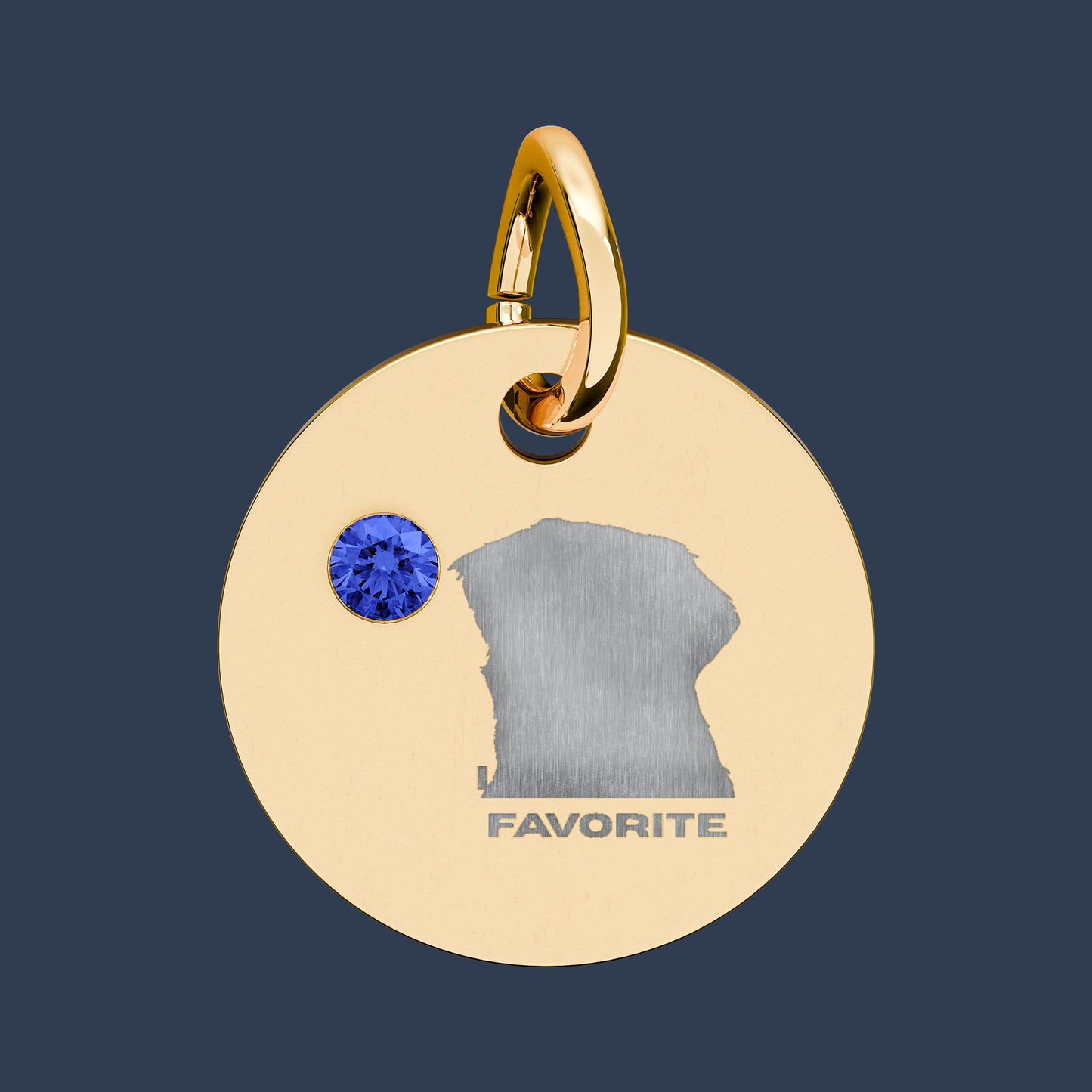 Circle Charm
