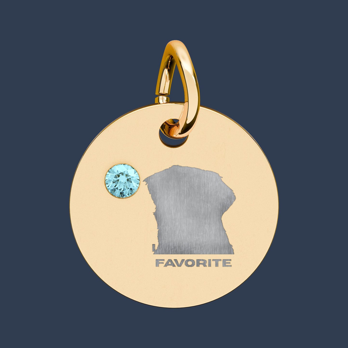 Circle Charm