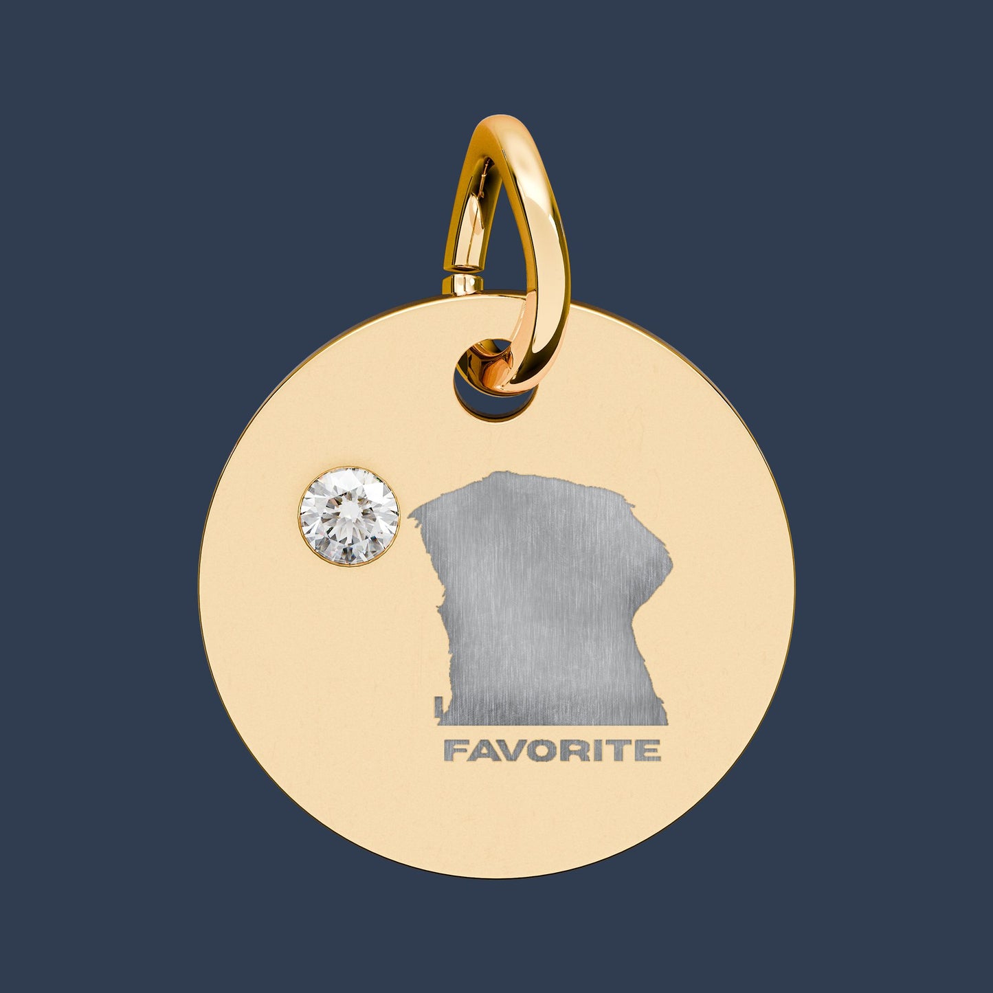 Circle Charm