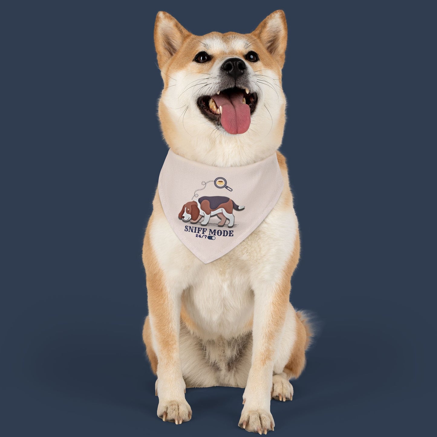 Sniff Mode