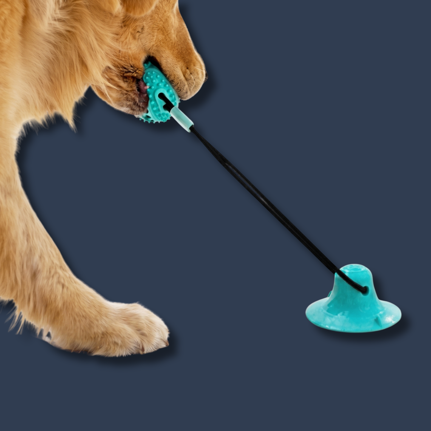 Suction Tug Toy