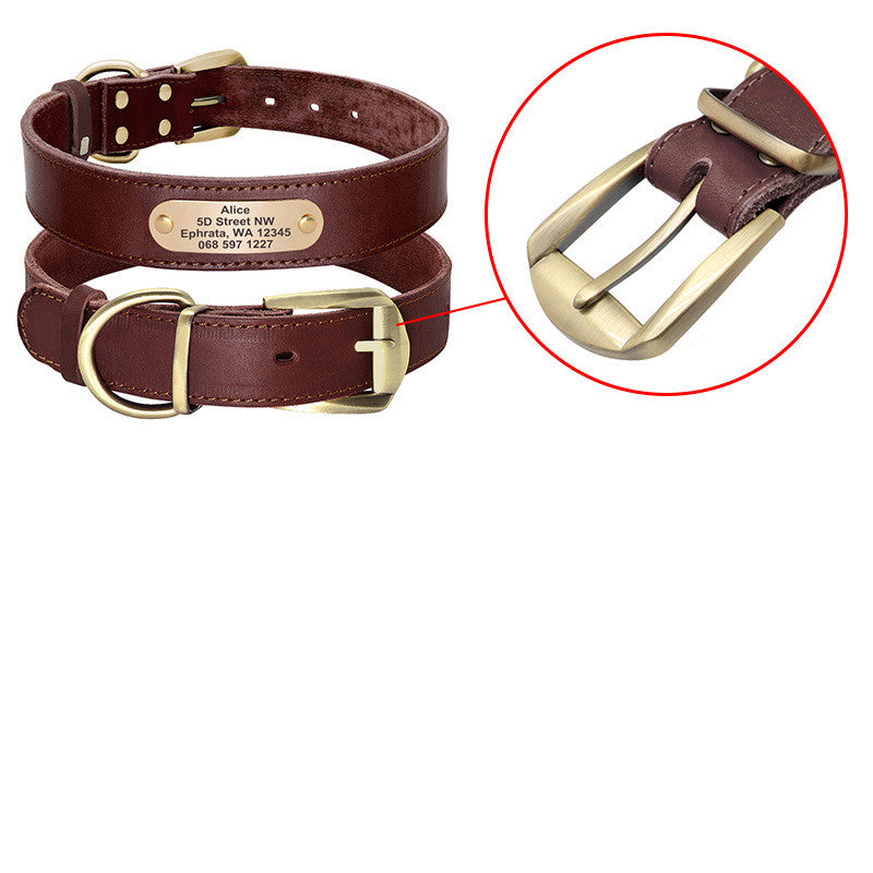 Personalized Dog Collars with Nameplate ID Tags