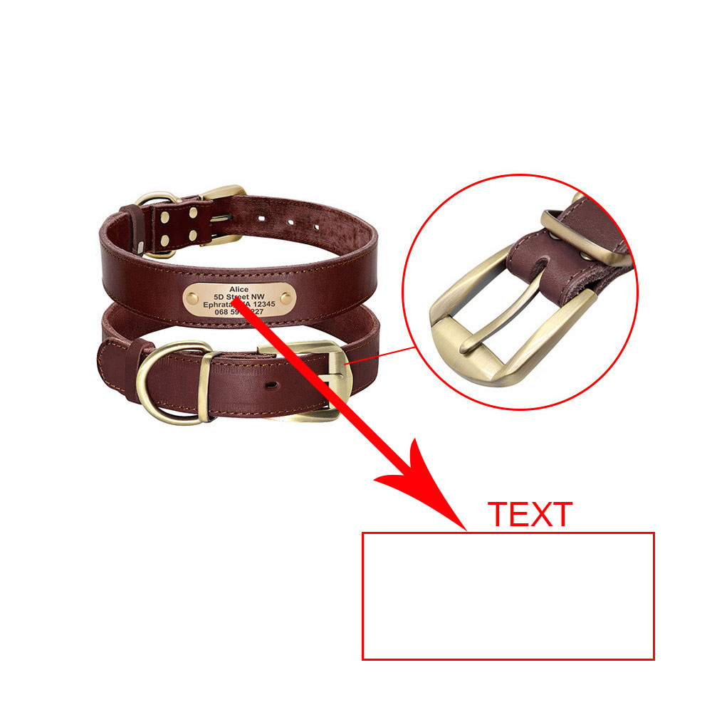 Personalized Dog Collars with Nameplate ID Tags