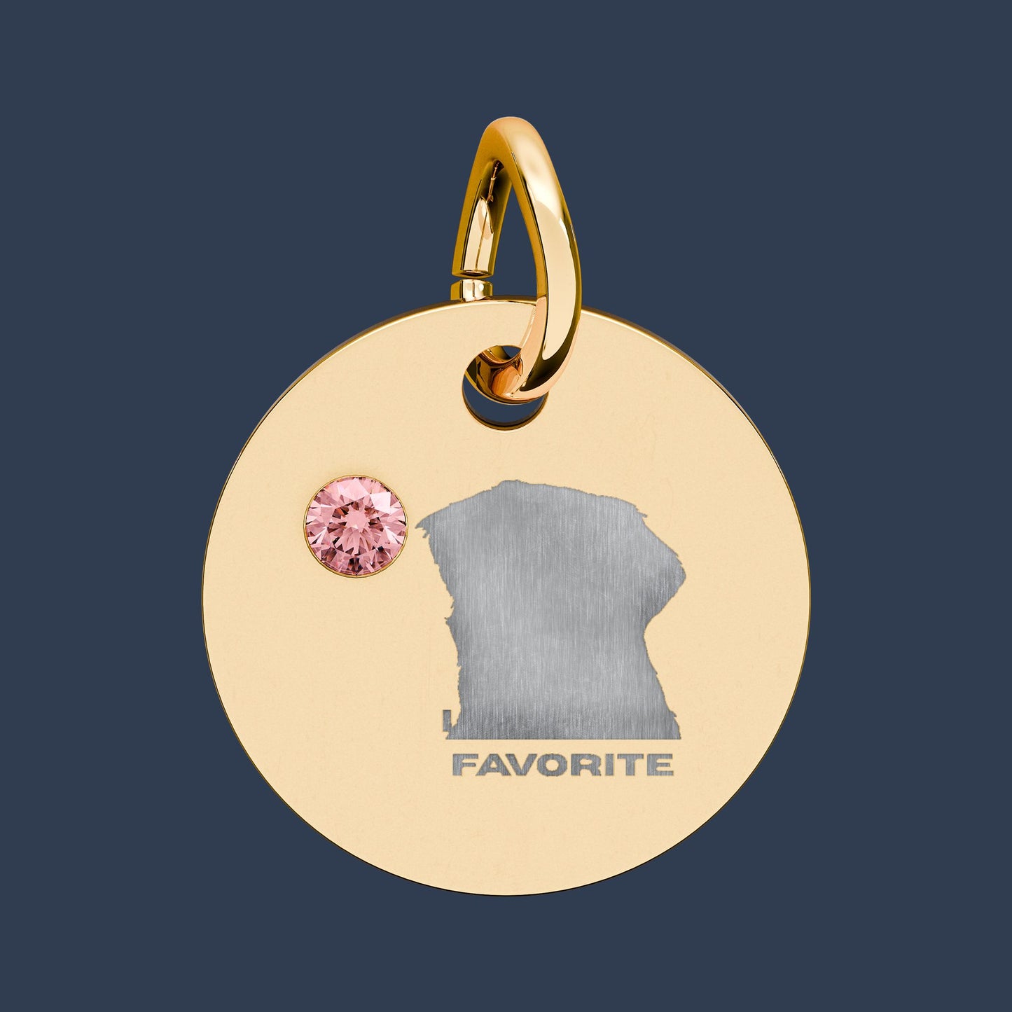 Circle Charm