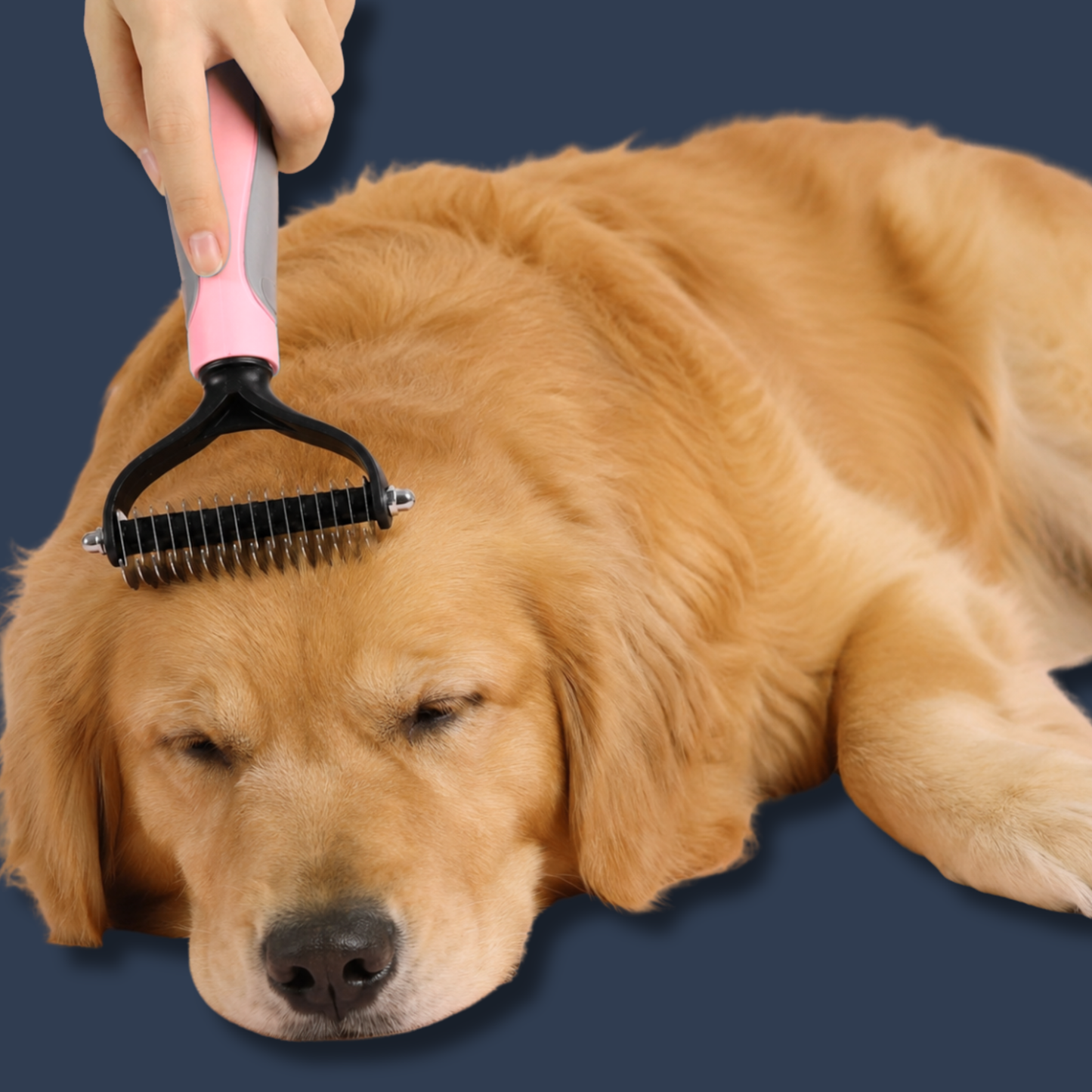Deshedding Grooming Brush