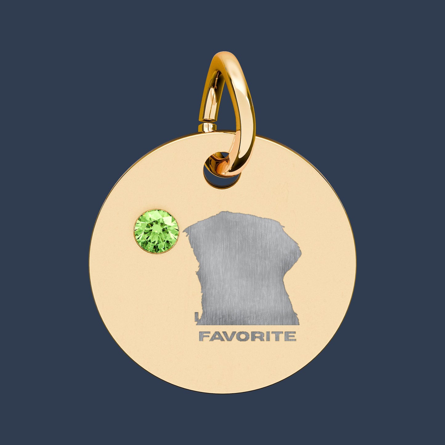 Circle Charm