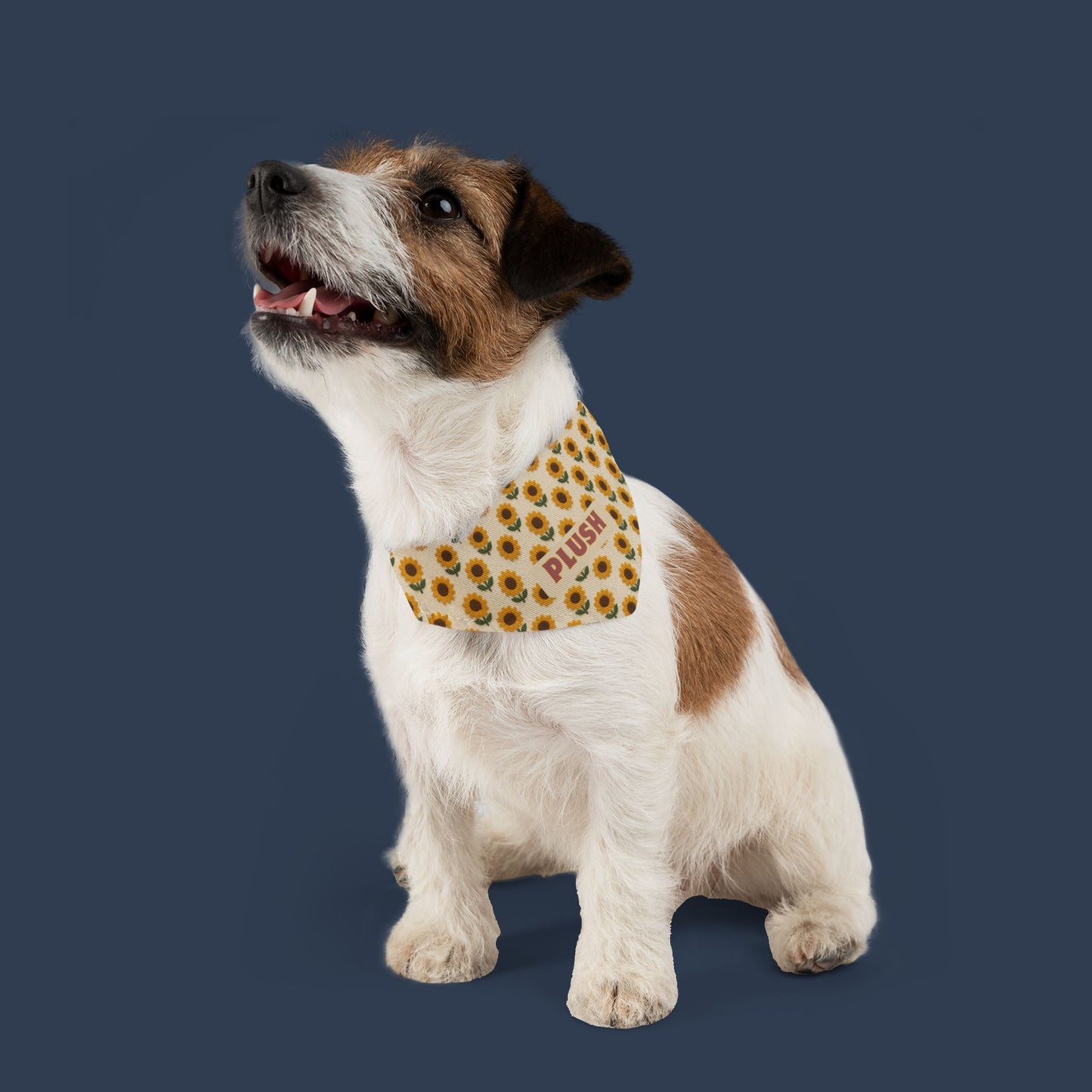 Harvest Sun Bandana