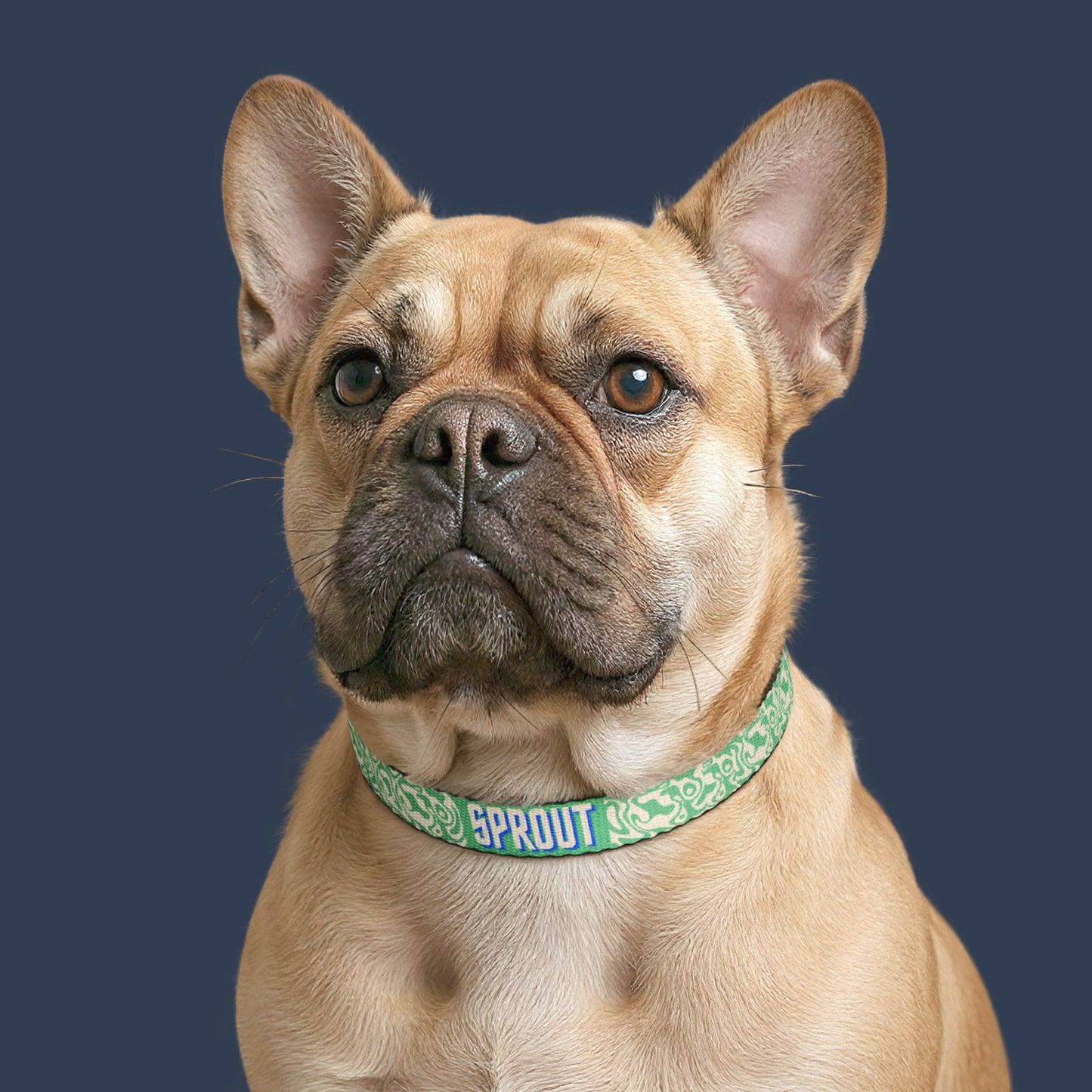 Willow Wave Collar