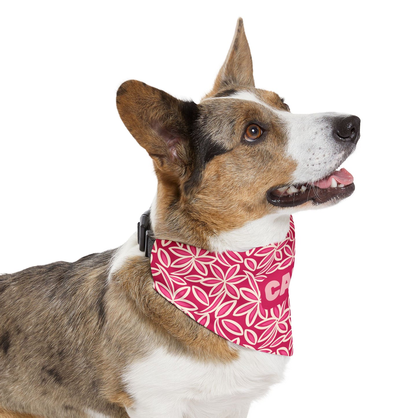 Blush Petal Bandana