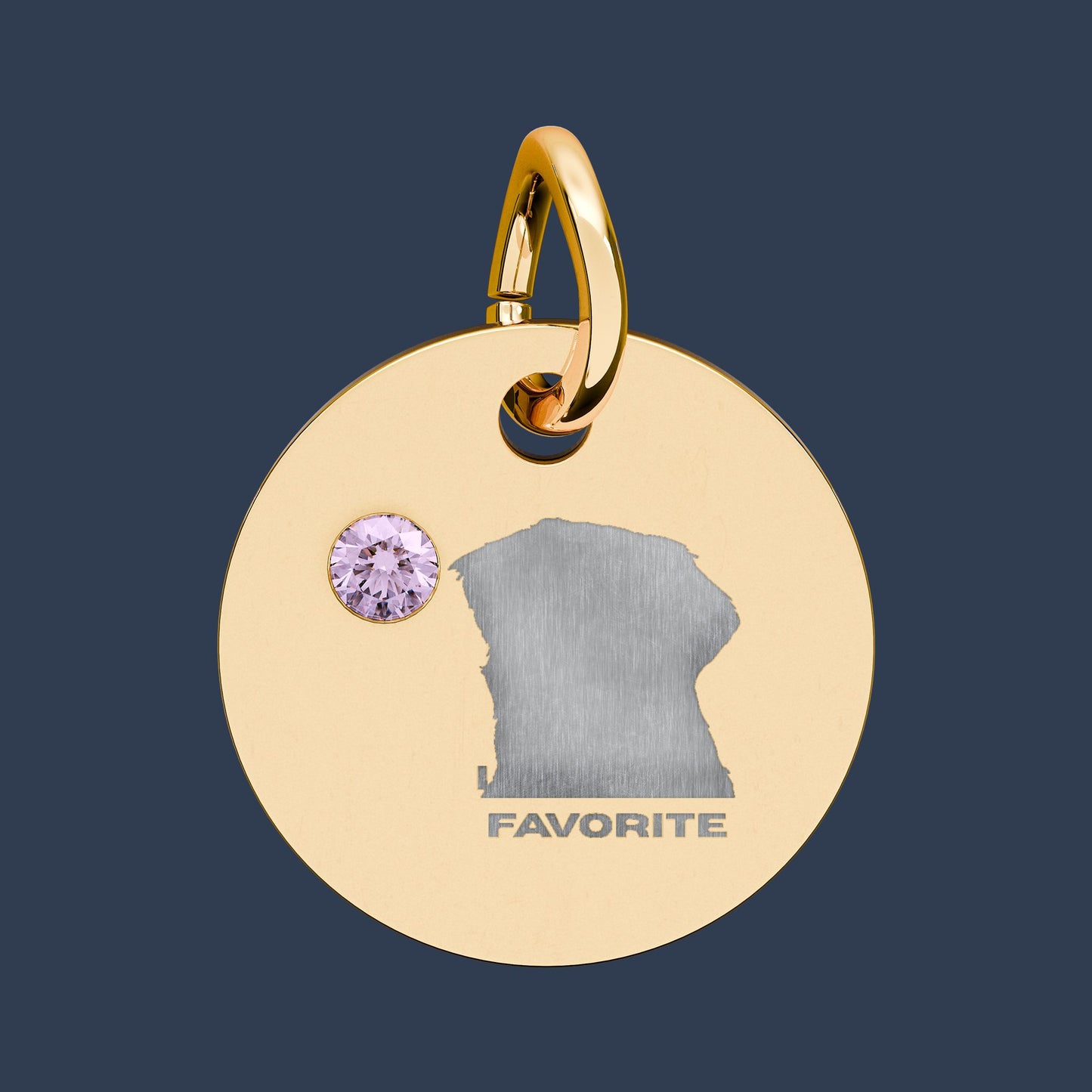 Circle Charm