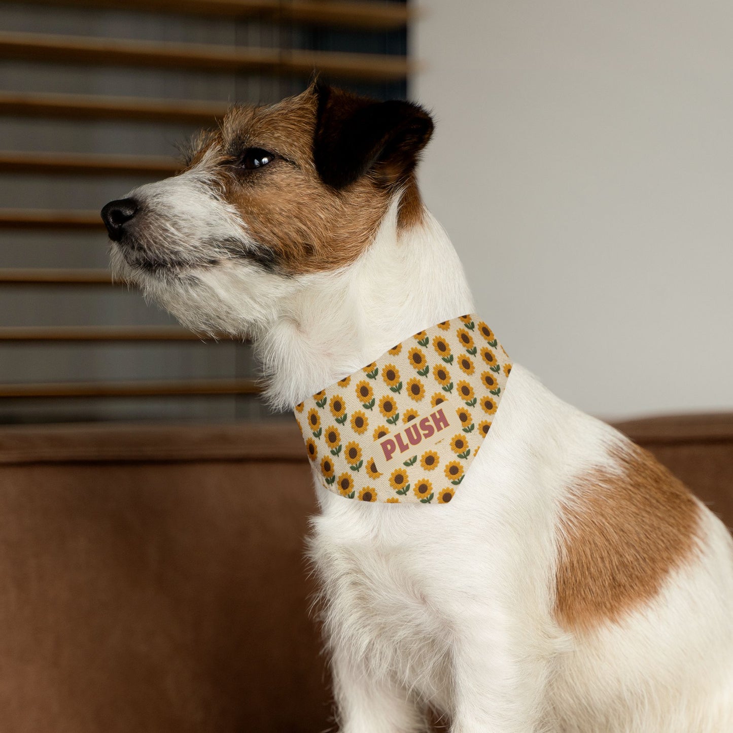 Harvest Sun Bandana