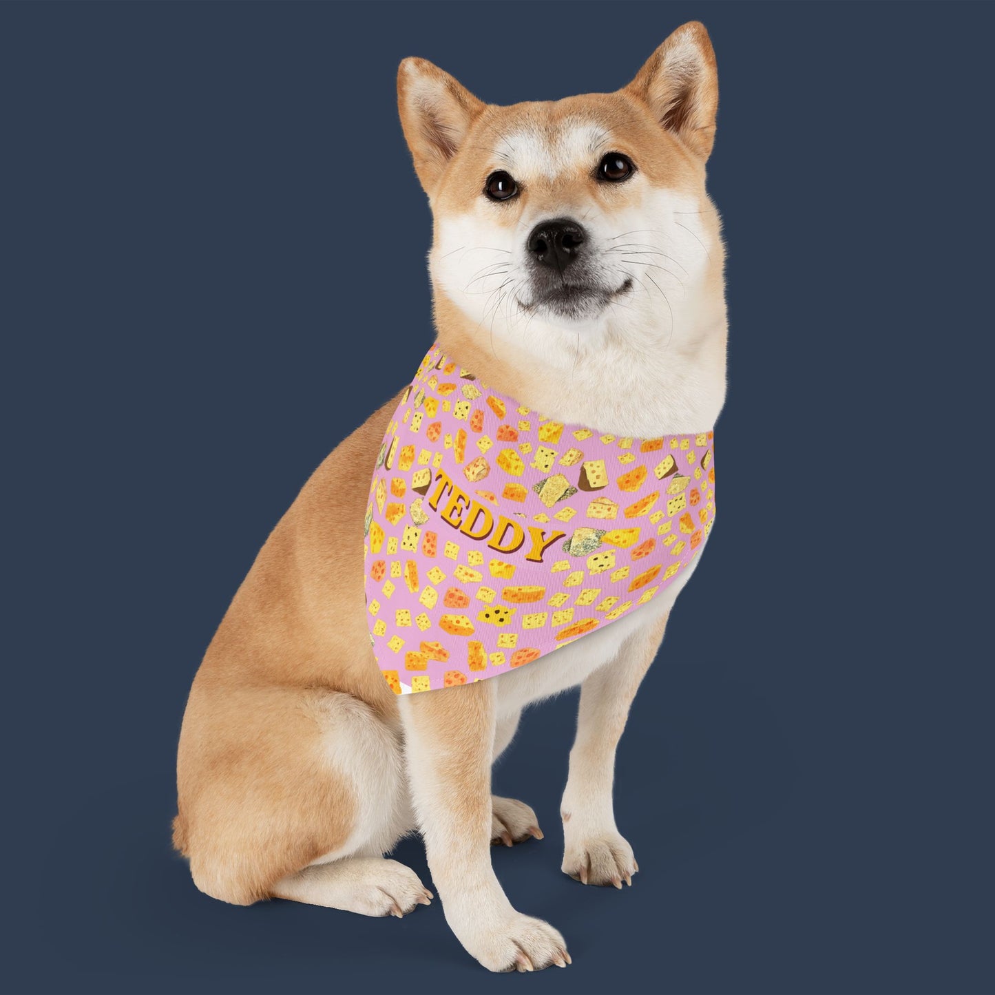 Gouda Boy