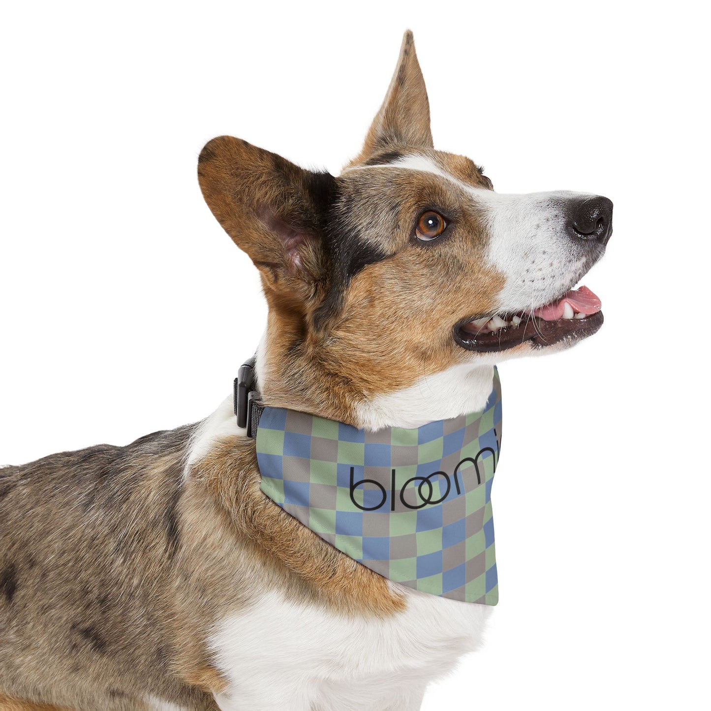 Bandana Collar — Blue Green Check Pet Bandana with “bloomingtails”