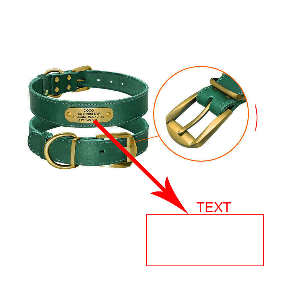 Personalized Dog Collars with Nameplate ID Tags