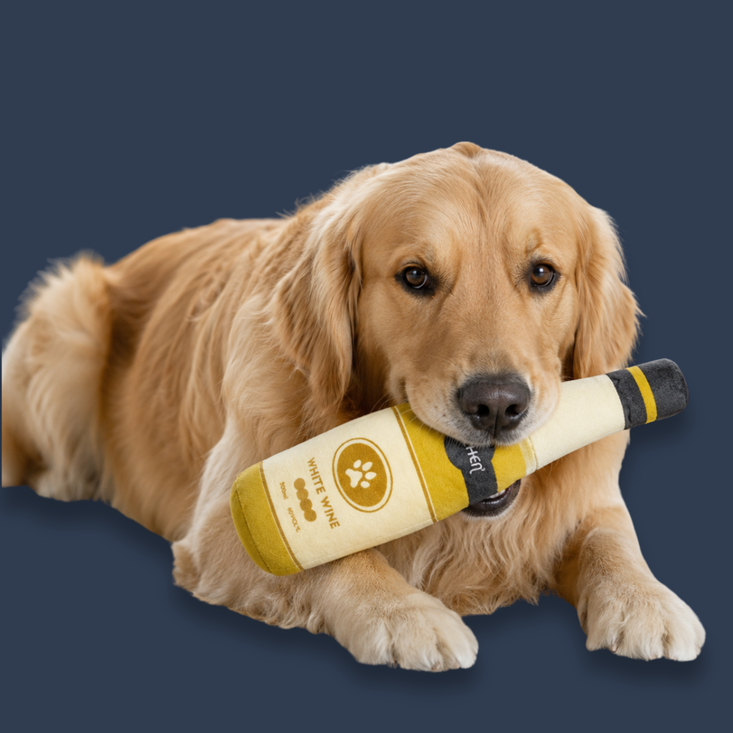 Champagne Bottle Stufie
