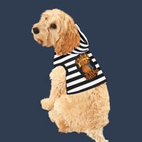 Pet Hoodie