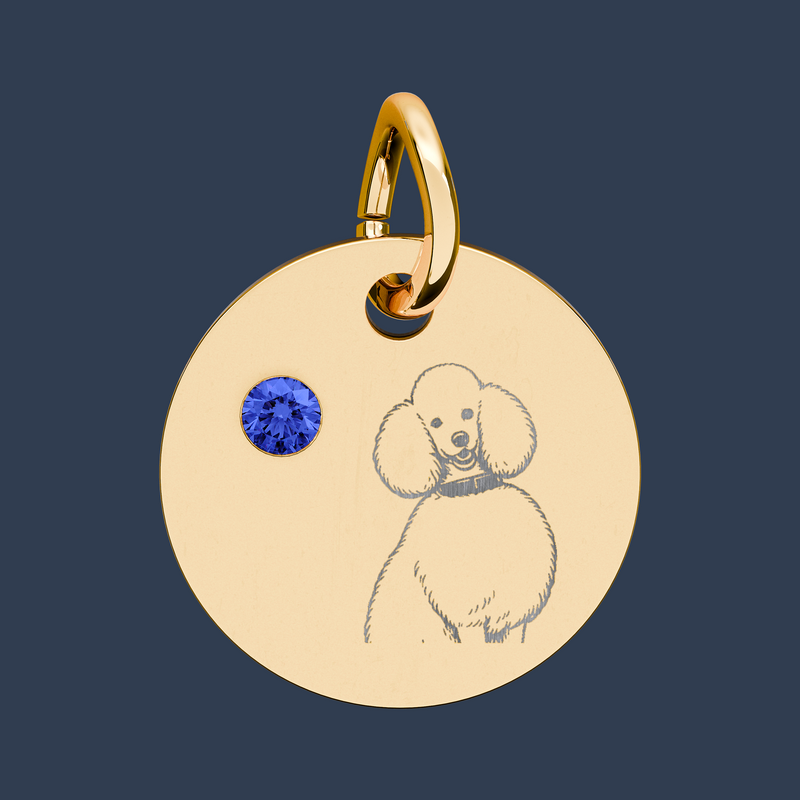 Charm