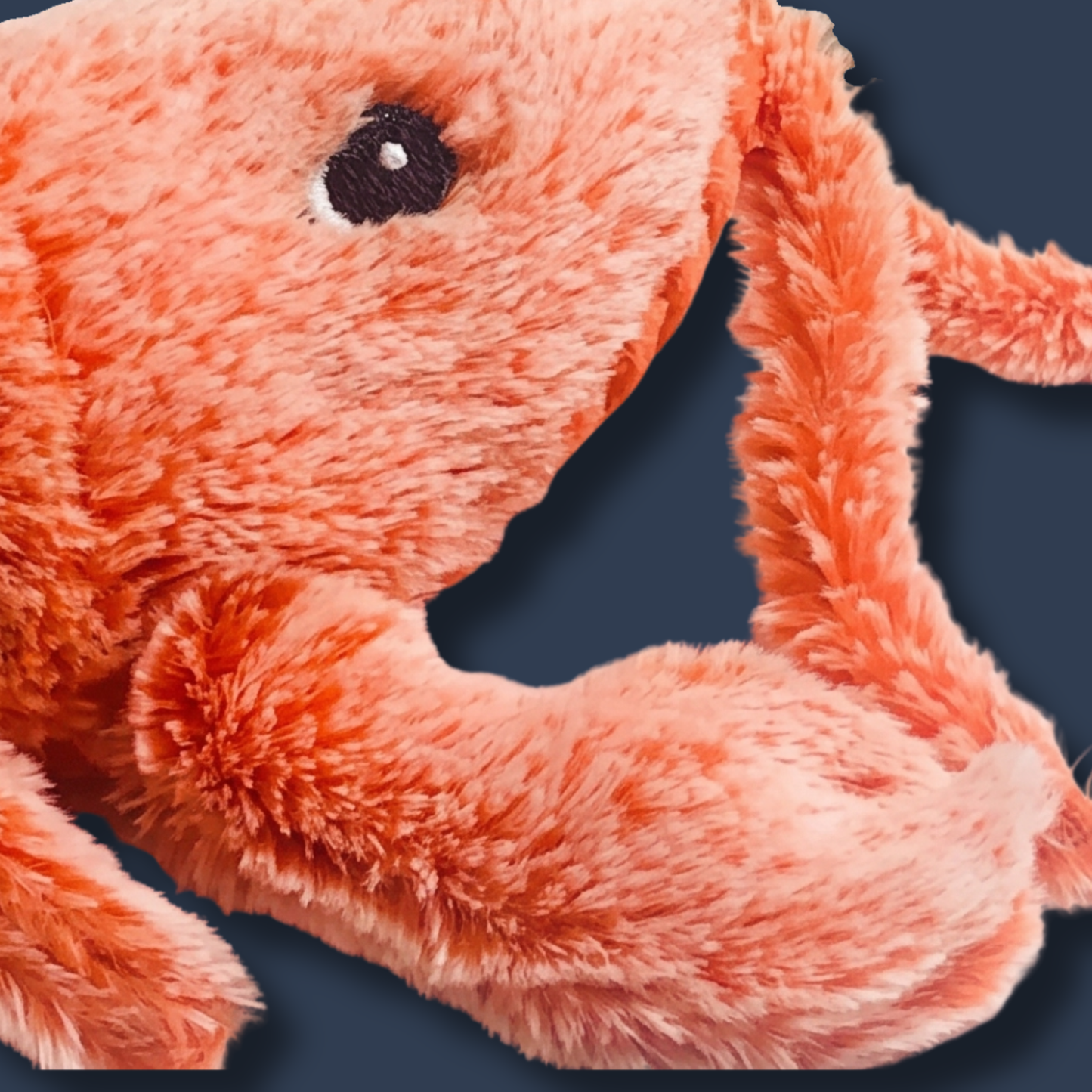 Jumping Shrimp
